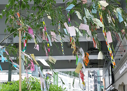 第一回「京橋川カフェ」七夕祭り