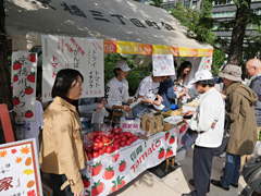 第10回 京橋川カフェ