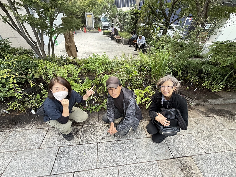 苗植 / 於 : 京橋大根河岸おもてなしの庭